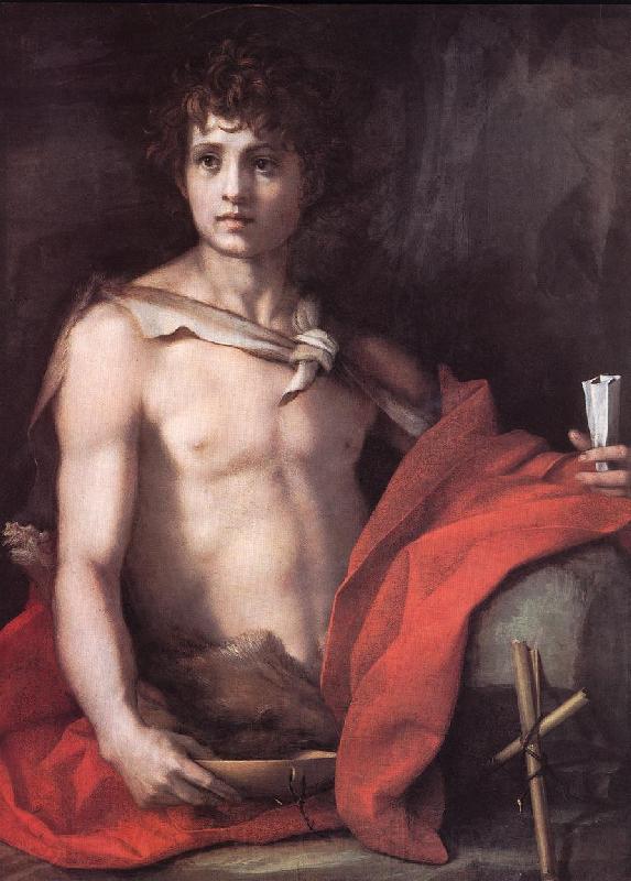 Andrea del Sarto St John the Baptist Norge oil painting art